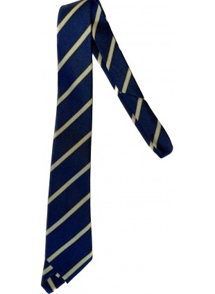 Corbatas Cadetes Colegio Carampangue