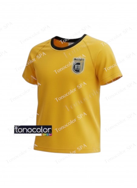 Polera Deporte Unisex Manga Corta Colegio Carampangue